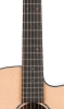 Neck